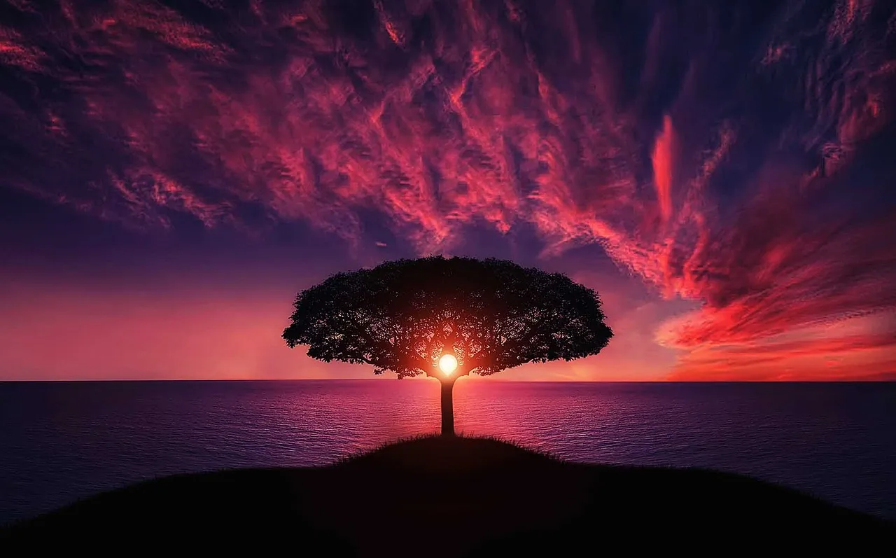 Tree at dawn.<br>